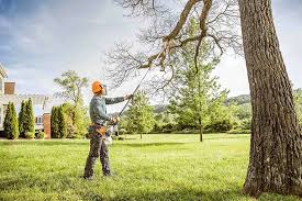 Reliable El Reno, OK Tree Care Solutions